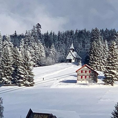 Haus Am Sonnenberg,Todtnauberg, Ferienwohnung 002, Direkt Am Skilift-Skipiste, Naehe Feldberg Esterno foto