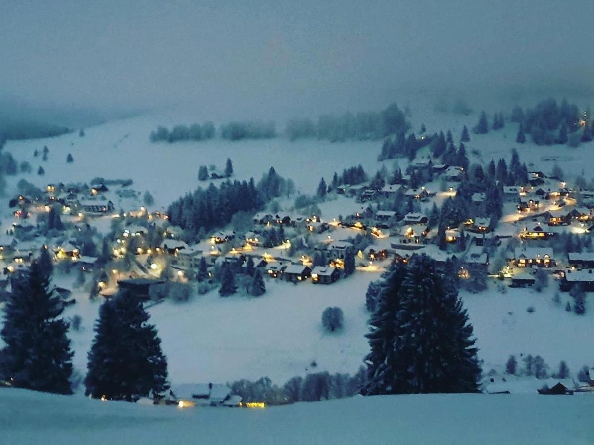 Haus Am Sonnenberg,Todtnauberg, Ferienwohnung 002, Direkt Am Skilift-Skipiste, Naehe Feldberg Esterno foto