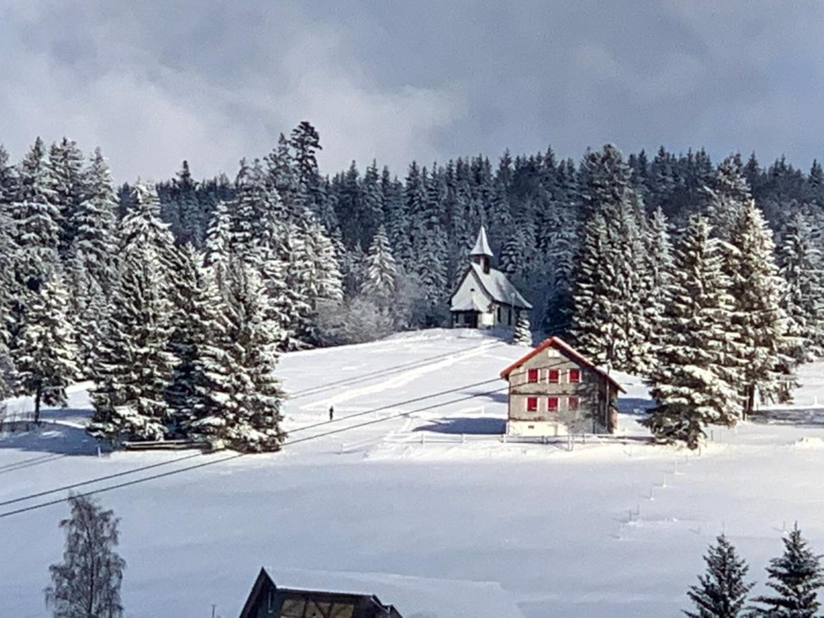 Haus Am Sonnenberg,Todtnauberg, Ferienwohnung 002, Direkt Am Skilift-Skipiste, Naehe Feldberg Esterno foto