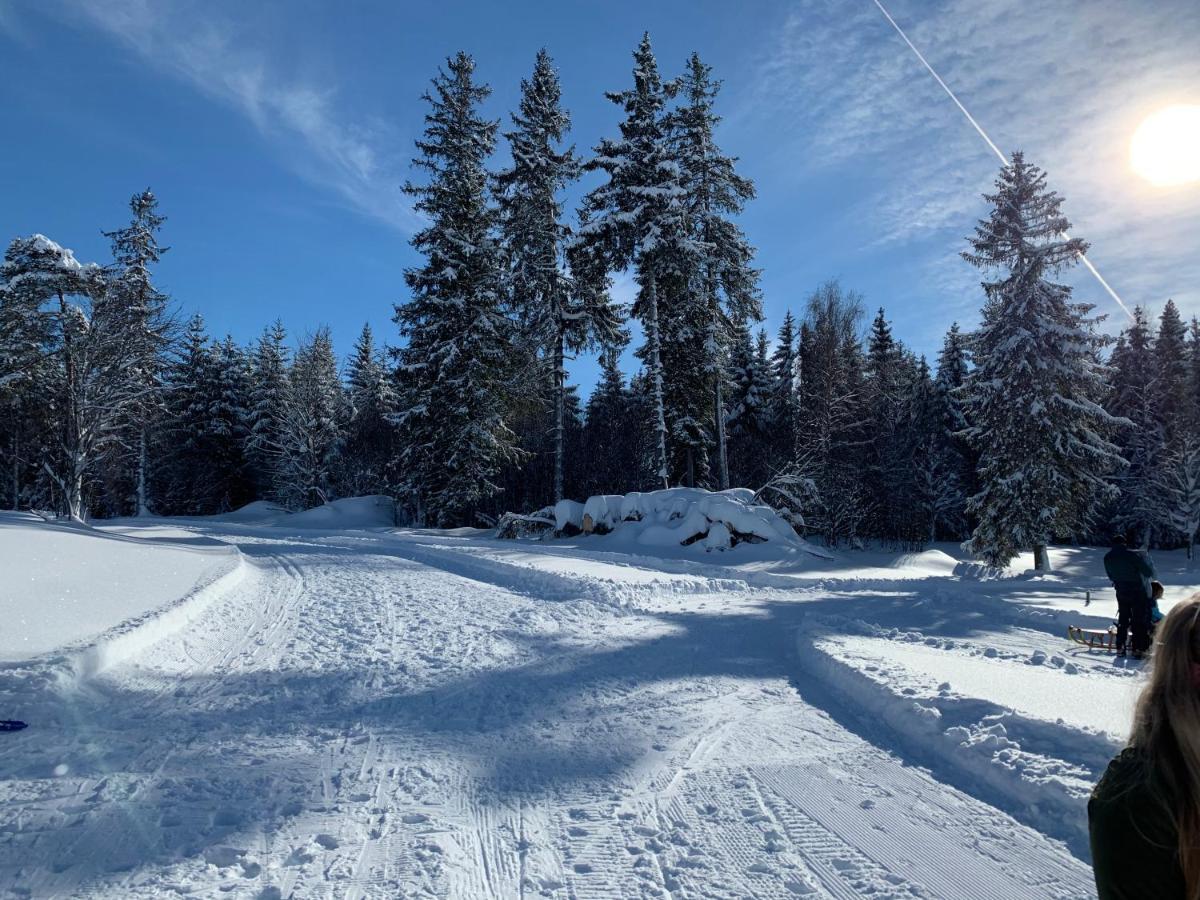 Haus Am Sonnenberg,Todtnauberg, Ferienwohnung 002, Direkt Am Skilift-Skipiste, Naehe Feldberg Esterno foto