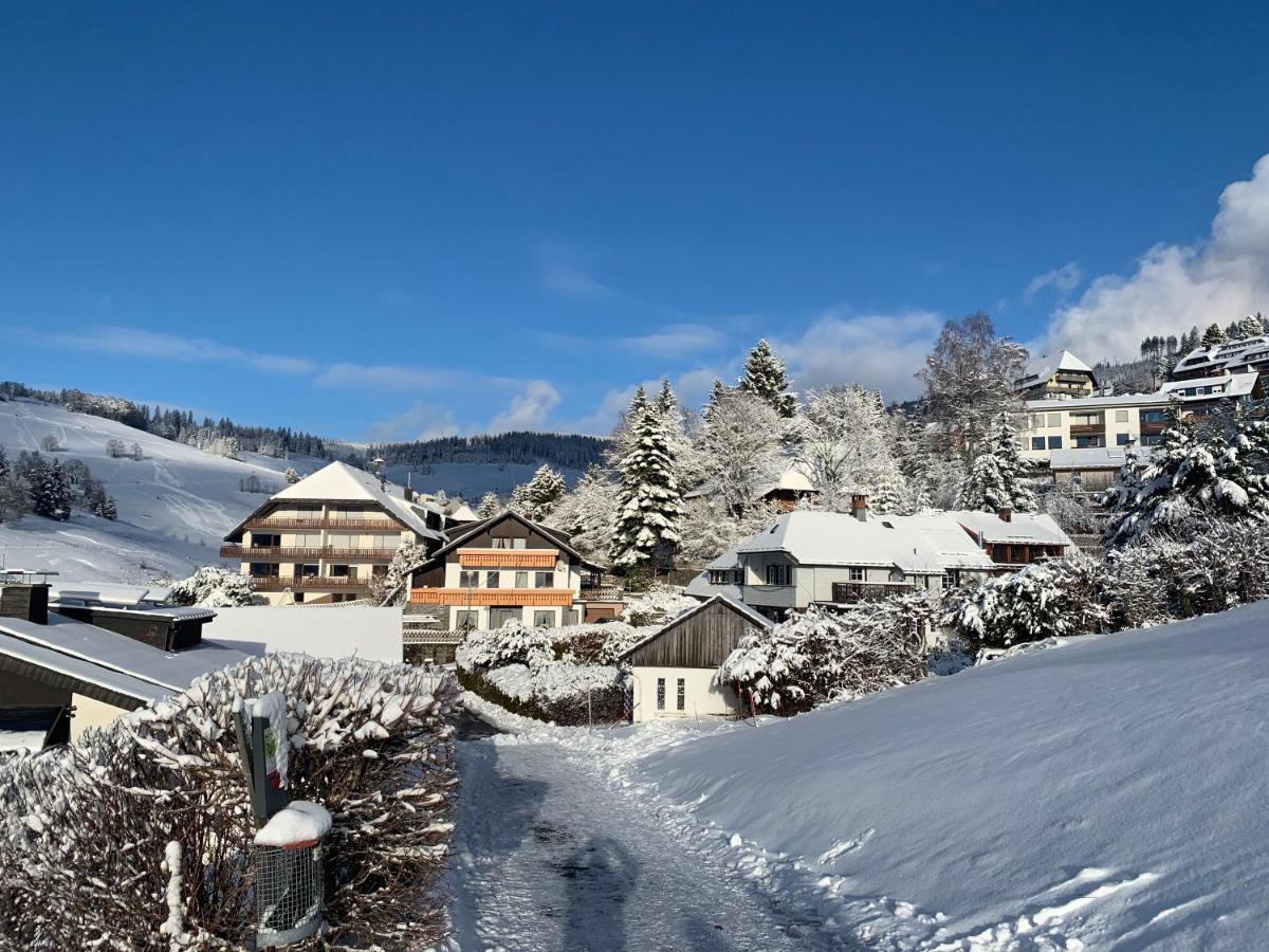 Haus Am Sonnenberg,Todtnauberg, Ferienwohnung 002, Direkt Am Skilift-Skipiste, Naehe Feldberg Esterno foto